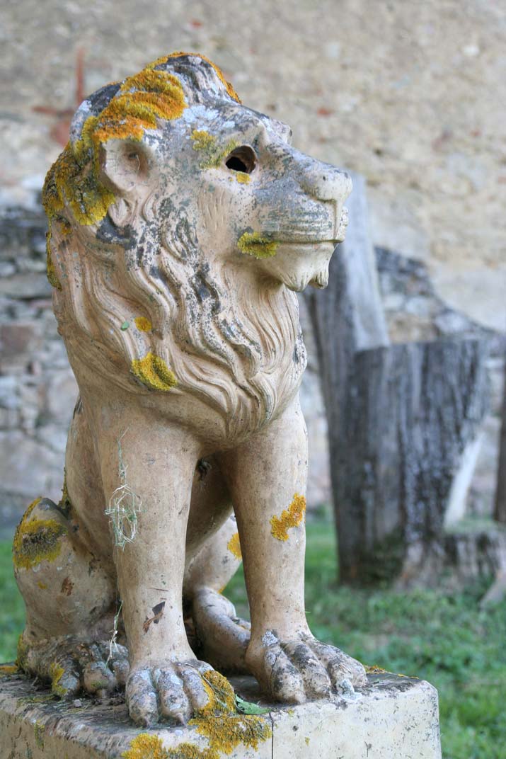 Lion du gite de Jeanne